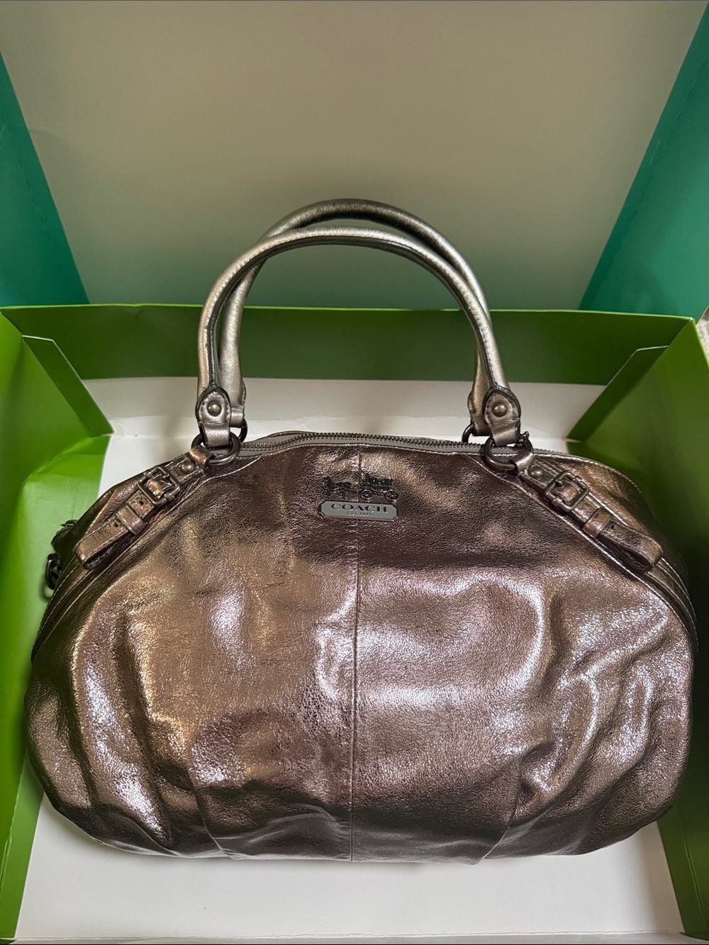 Coach Metallic Leather Shoulder Bag